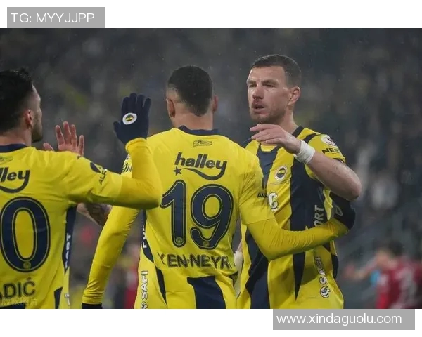 费内巴切与圣球队的精彩对决揭示了足球战术与团队合作的重要性